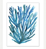 Modern Coral 6