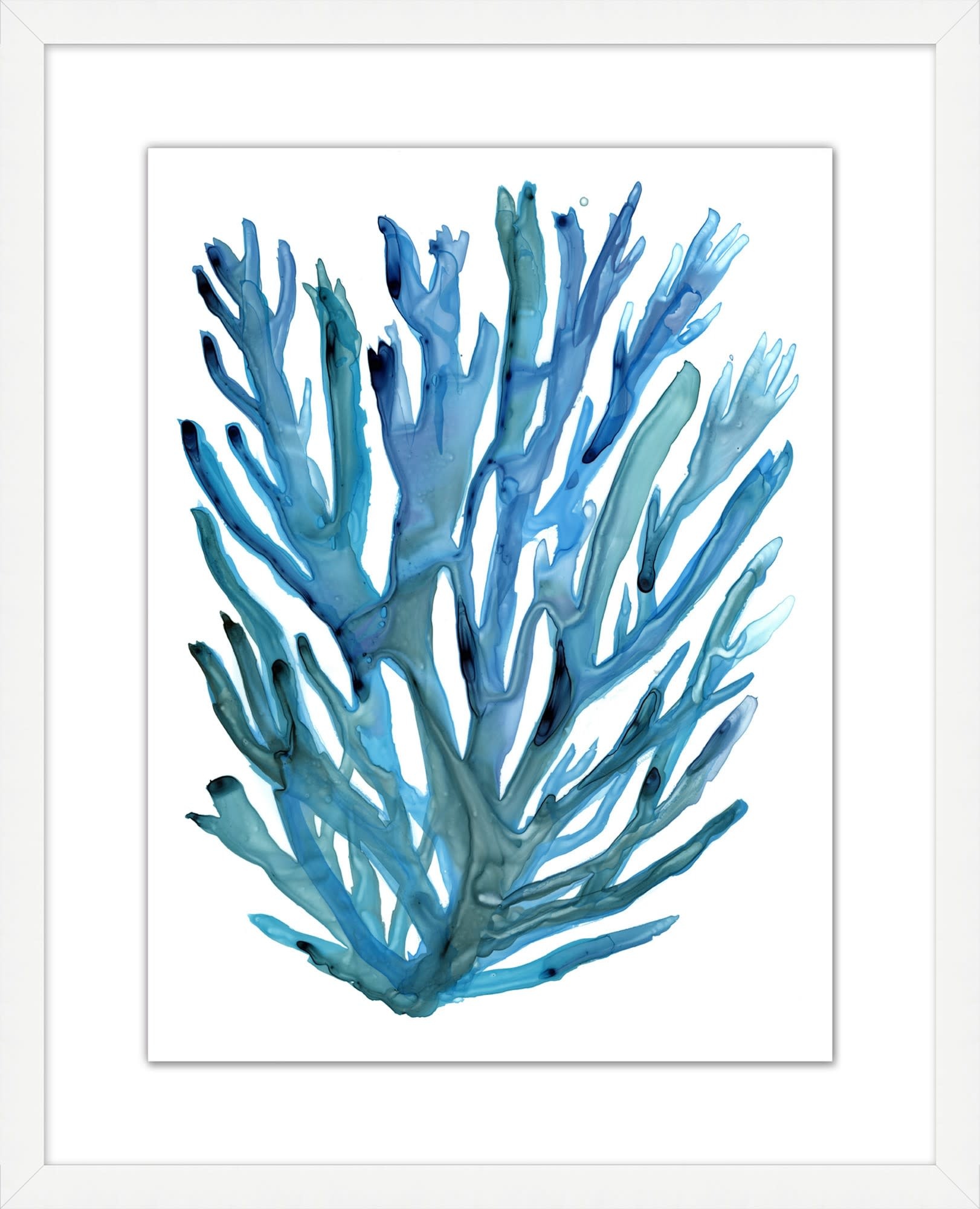 Modern Coral 6