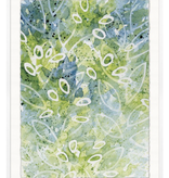Water 6