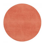 Snakeskin Coral Placemat