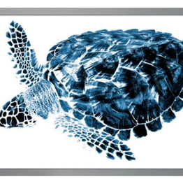 Indigo Sea Turtle 2 46.5"w x 32.5"h