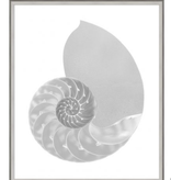 Silver Leafed Shell 1 31.25"w x 37.25"h