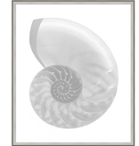 Silver Leafed Shell 4 31.25"w x 37.25"h