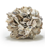 Oyster Shell Ball 9''