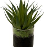 Blade Plant in 3" Cylinder-Faux Water  (Green)