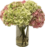 Large Hydrangea x10 in 6”x10” Cylinder-Faux Water (Pink/Green)