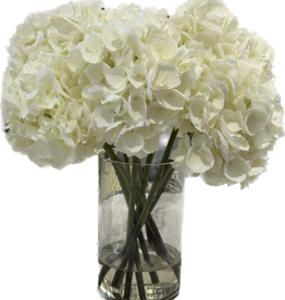 Large Hydrangea x10 in 6”x10” Cylinder-Faux Water (White)