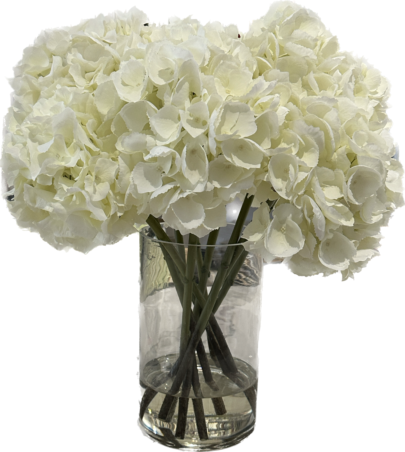 Large Hydrangea x10 in 6”x10” Cylinder-Faux Water (White)