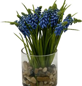 Muscari in 4” Glass Cylinder-Faux Water/Stones-Blue