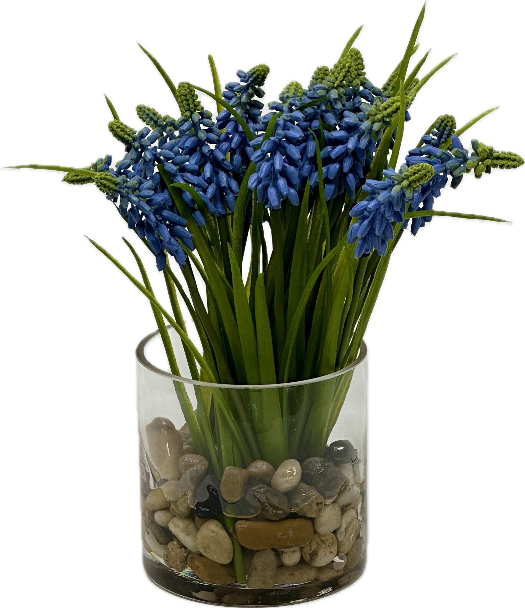 Muscari in 4” Glass Cylinder-Faux Water/Stones-Blue