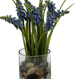 Faux Muscari in 3” Glass Cylinder-Faux Water-Blue