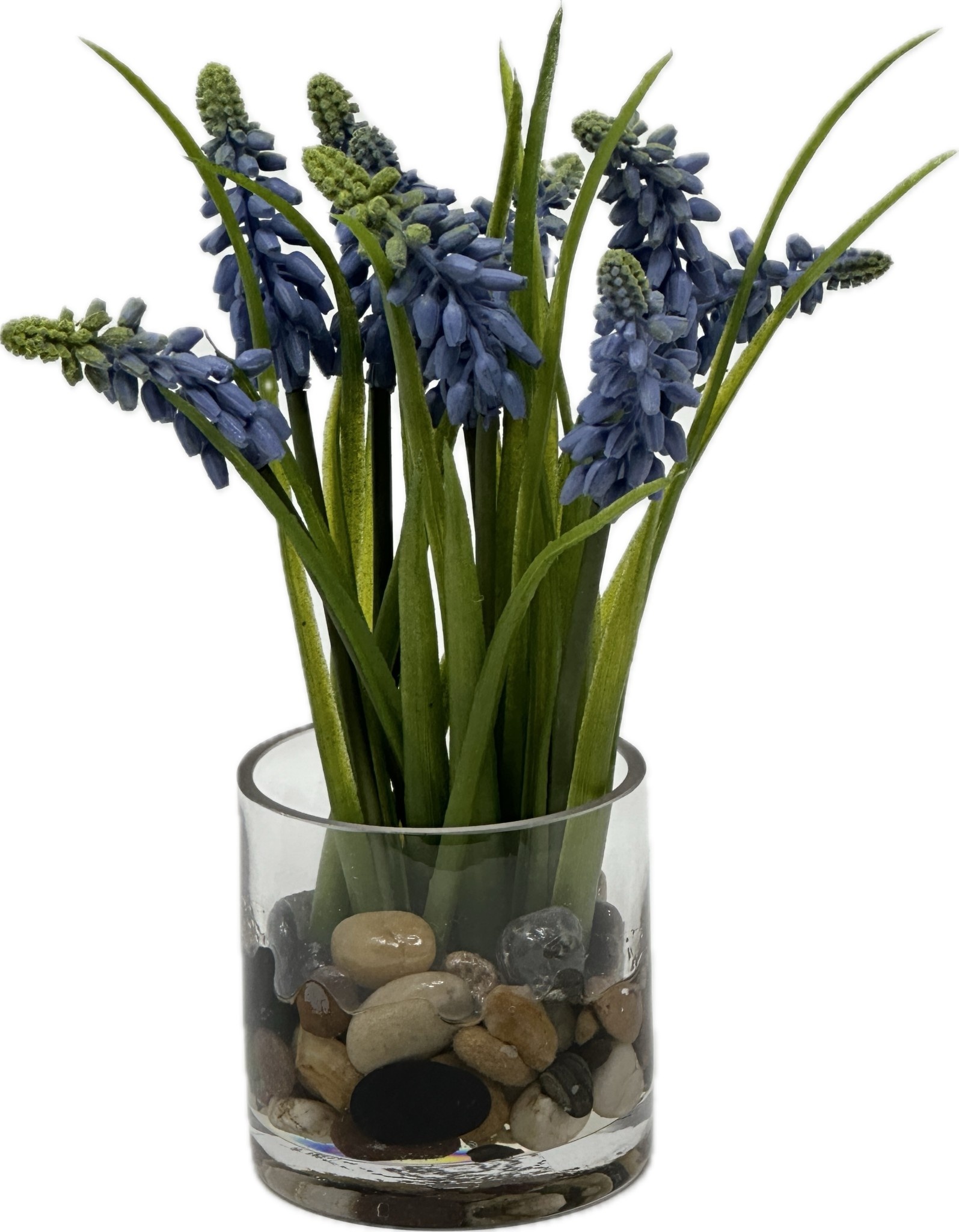 Faux Muscari in 3” Glass Cylinder-Faux Water-Blue