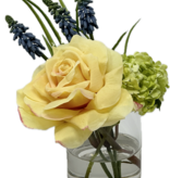 Duchess Rose, Muscari & Viburnum in 3" Cylinder (Yellow)