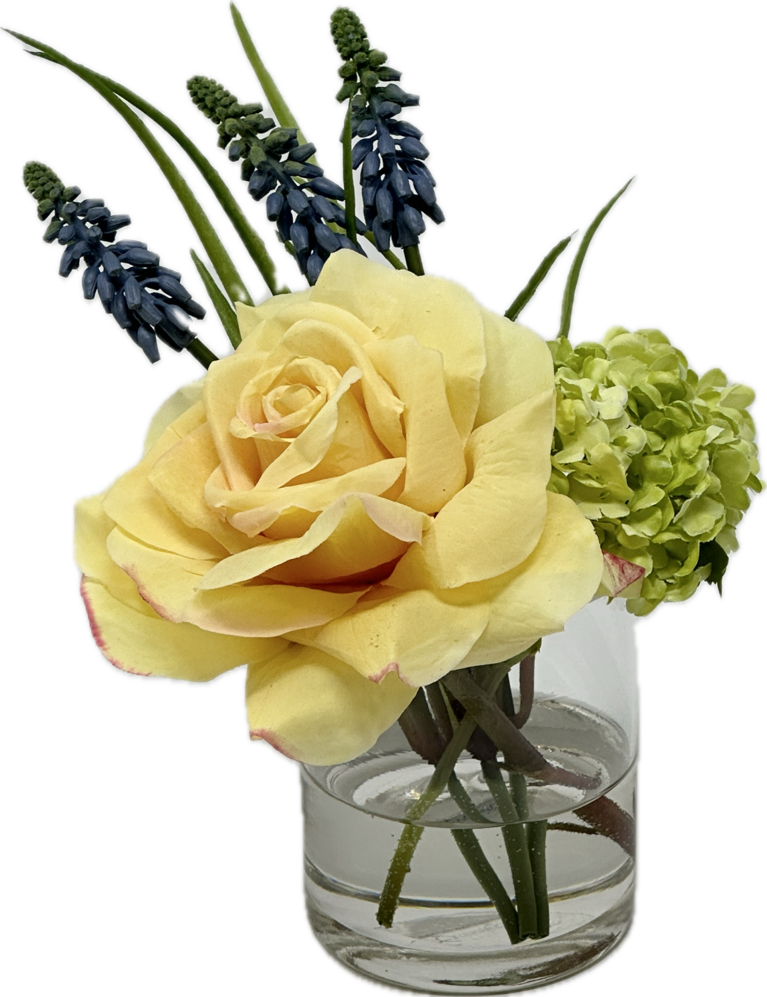 Duchess Rose, Muscari & Viburnum in 3" Cylinder (Yellow)