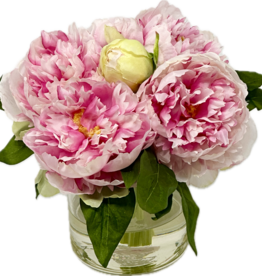 Peonies in 4" Cylinder x 6, Faux Water (Orchid)