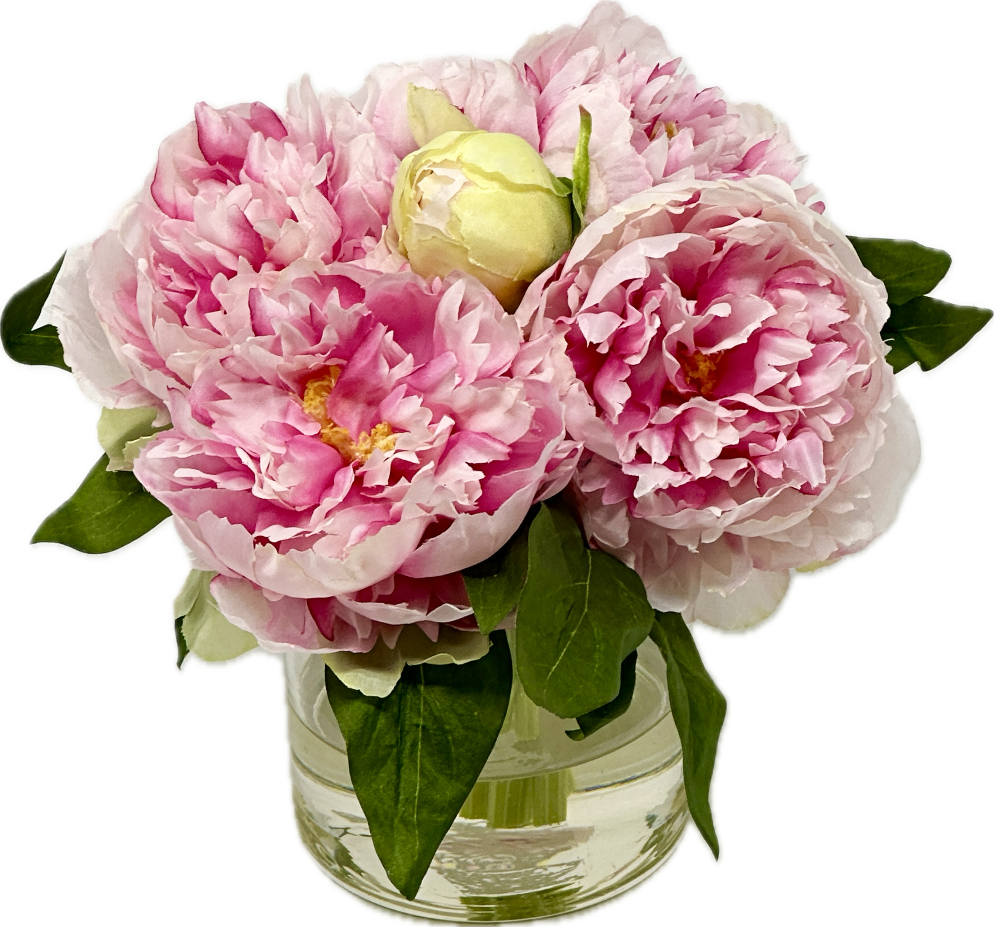 Peonies in 4" Cylinder x 6, Faux Water (Orchid)