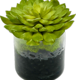 Medium Succulent in 4" Cylinder-Faux Water/Stones (Green)