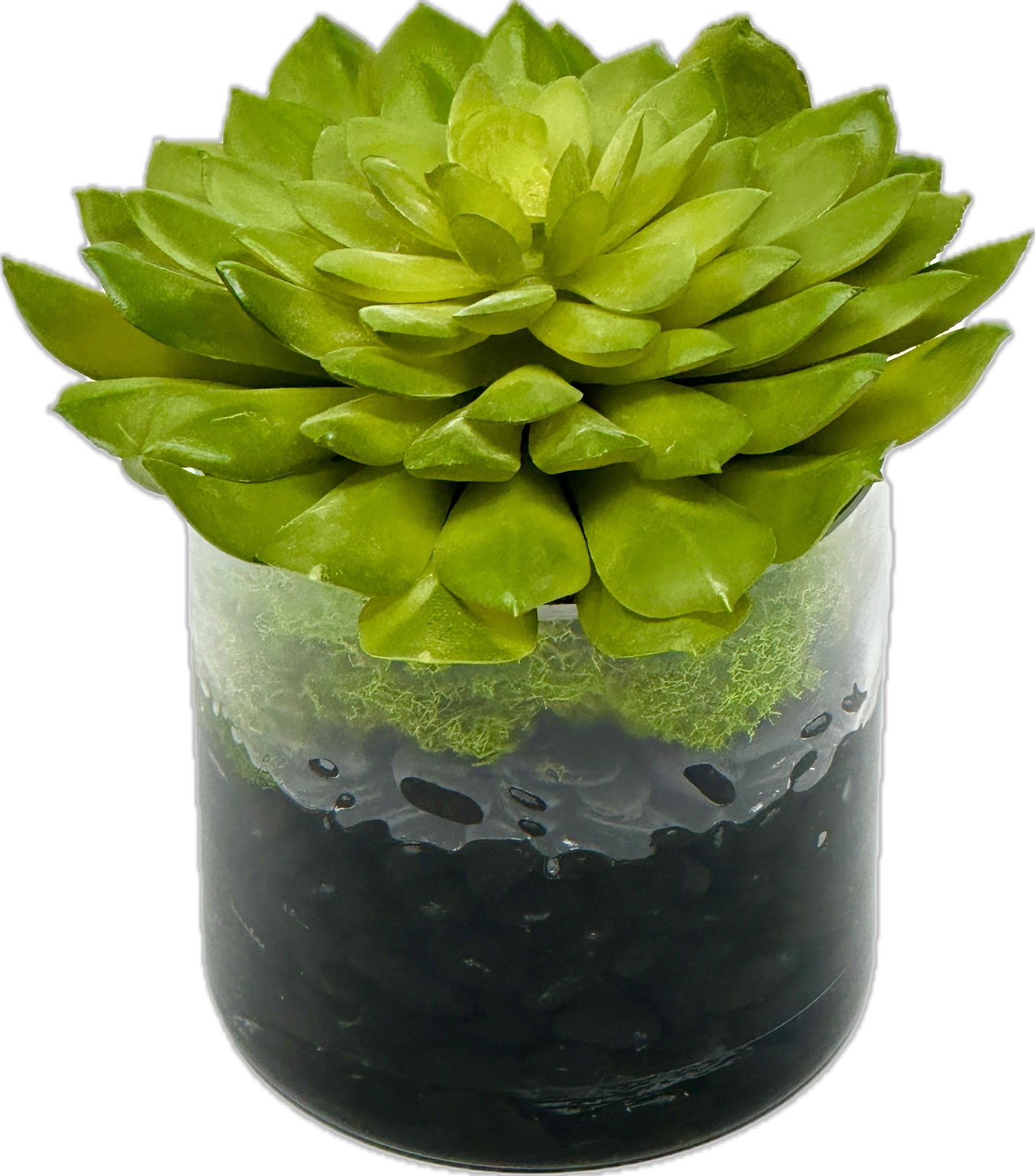 Medium Succulent in 4" Cylinder-Faux Water/Stones (Green)