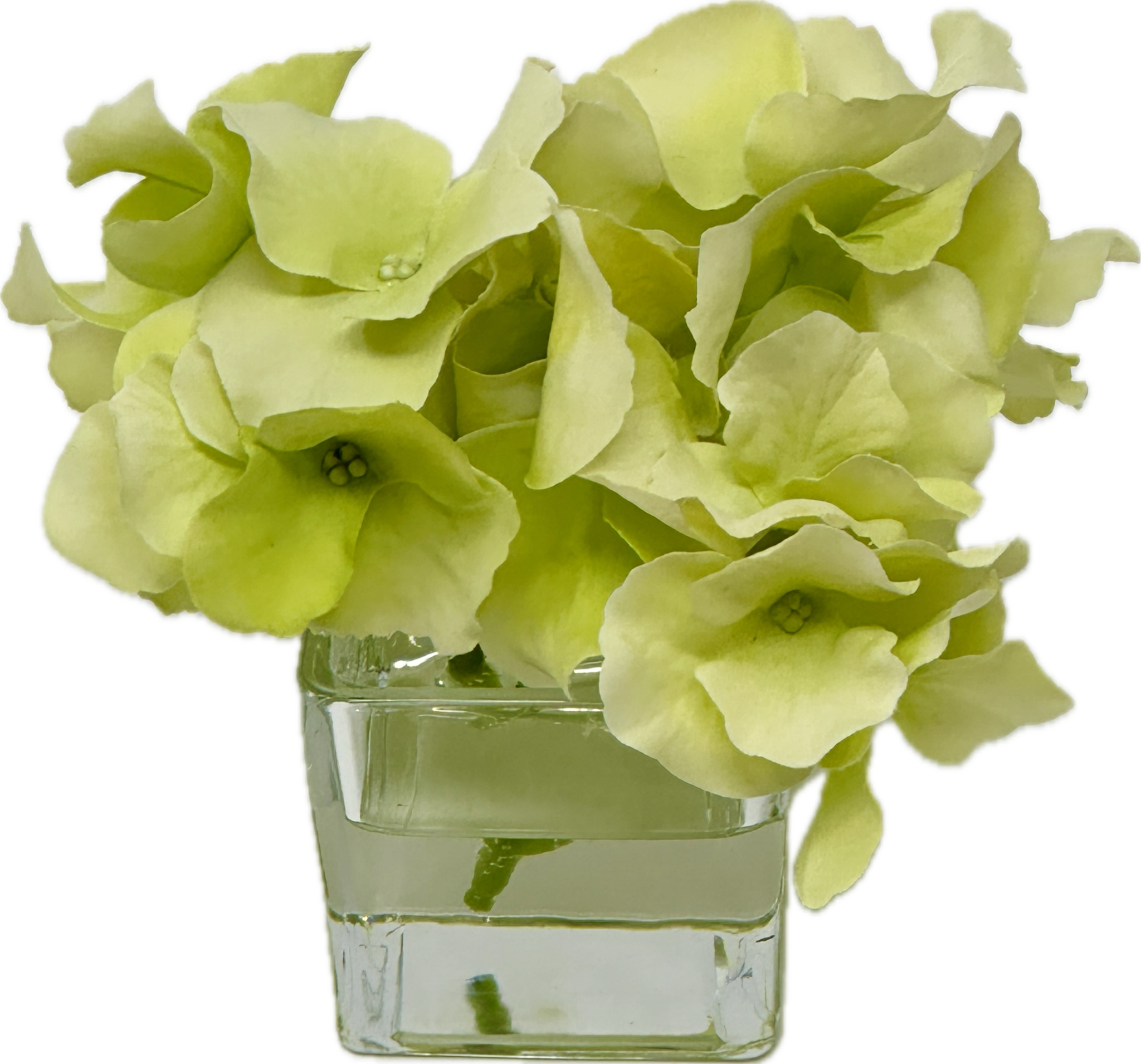 Hydrangea Votive-Faux Water (Light Green)