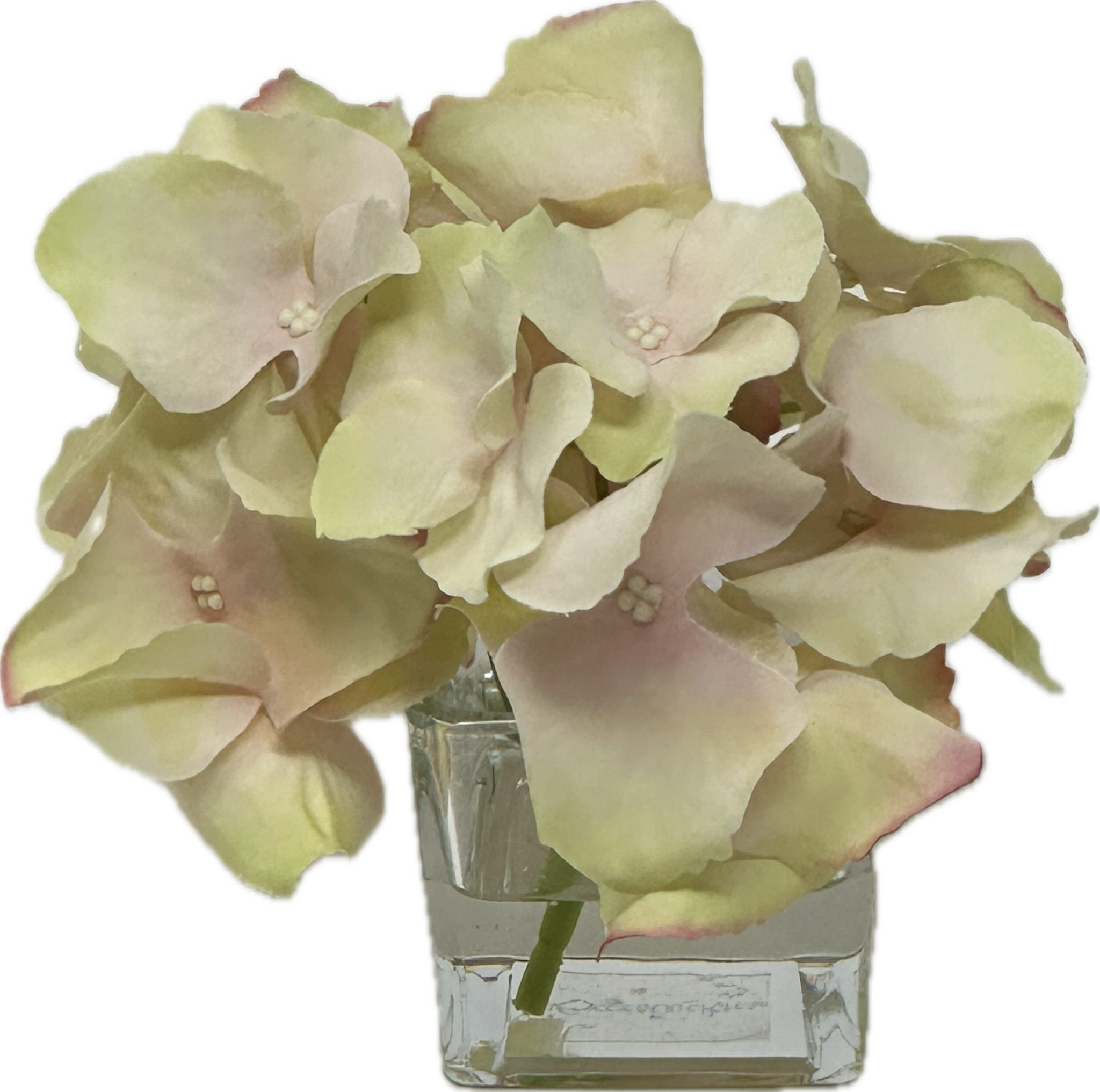 Hydrangea Votive-Faux Water (Pink Green)