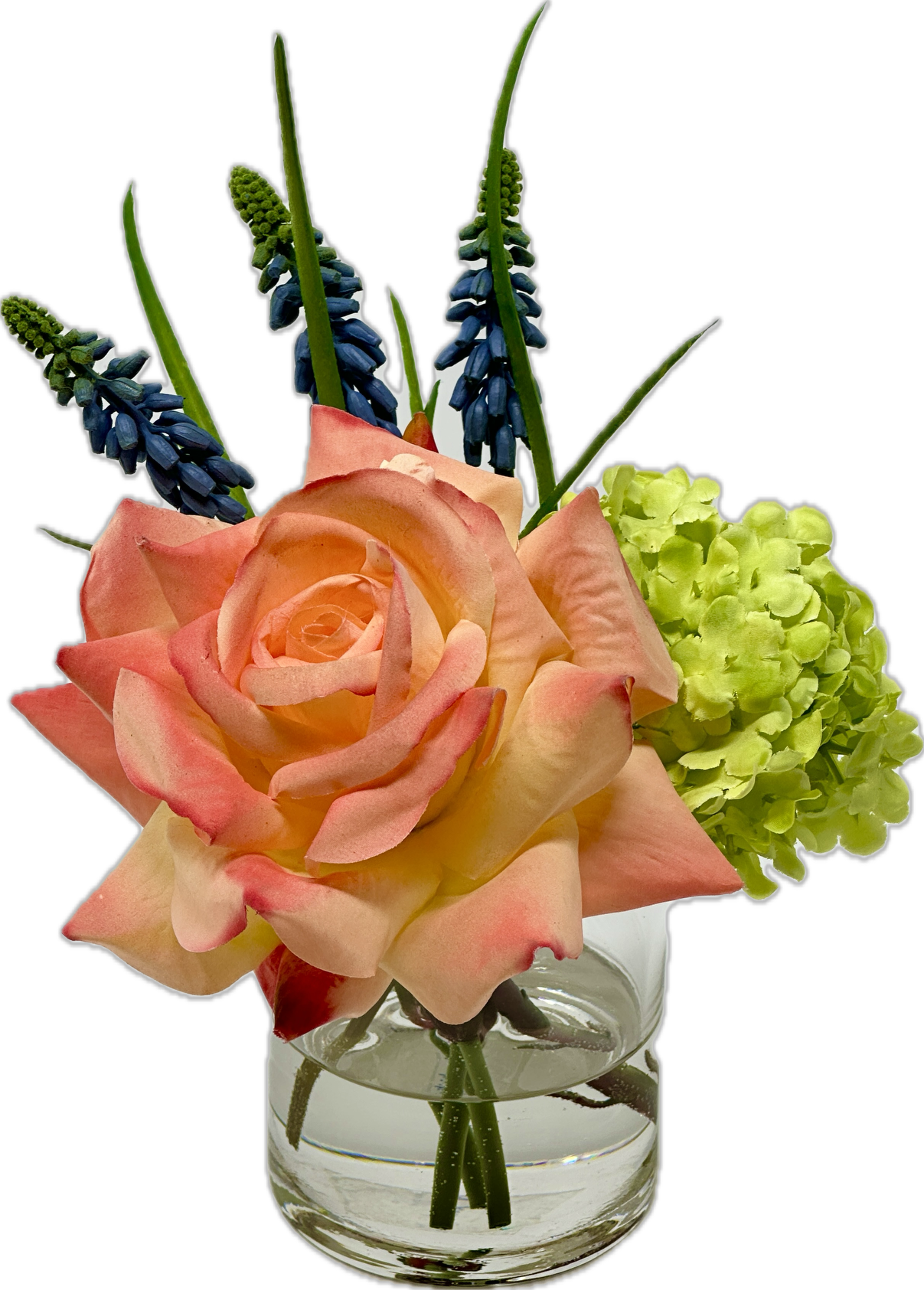 Rose, Muscari & Viburnum in 3" Cylinder (Salmon)