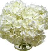 Large Hydrangea x7 in 6" Cylinder-Faux Water (White)