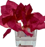 Bougainvillea Votive-Faux Water (Fuscia)