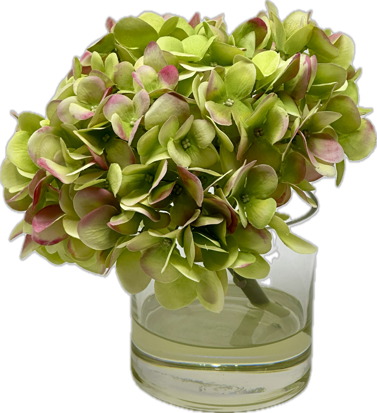 Hydrangea in 4" Cylinder-Faux Water (Green/Dark Pink)