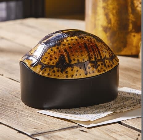 Turtle Shell Box