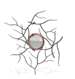 Woodland Mirror