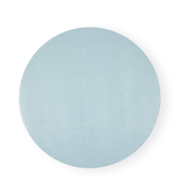 Soft Aqua Lizard  Round Placemat