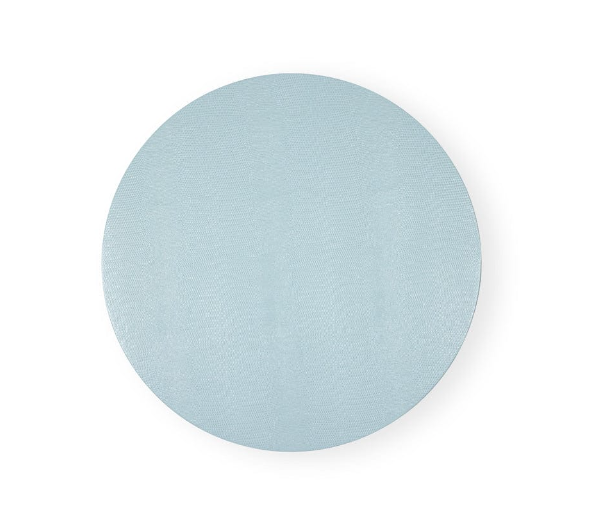 Soft Aqua Lizard  Round Placemat