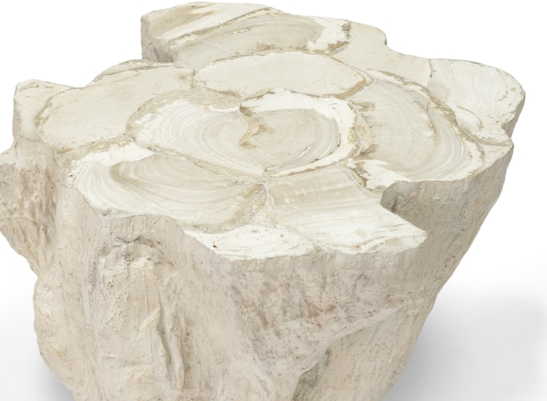 Camilla Fossilized Clam Side Table