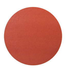 Orange Lizard Placemat