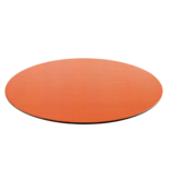 Orange Lizard Placemat