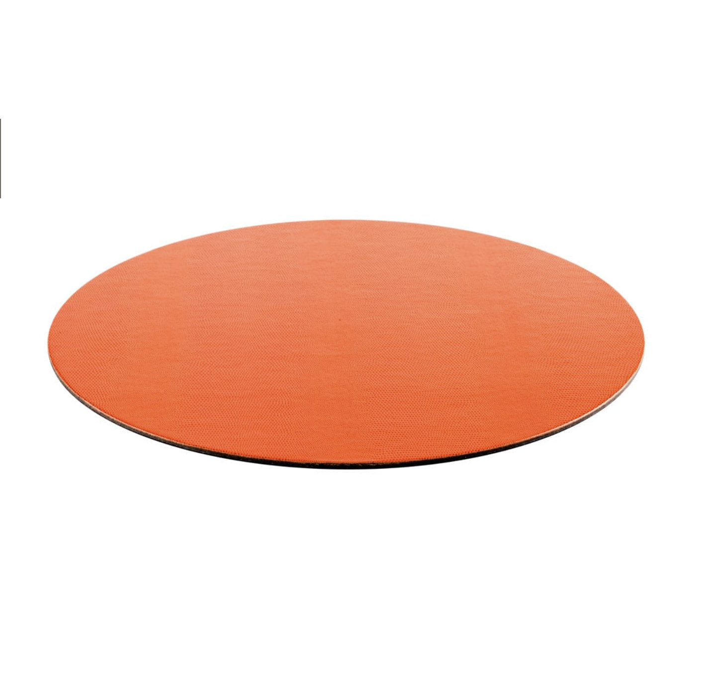 Orange Lizard Placemat