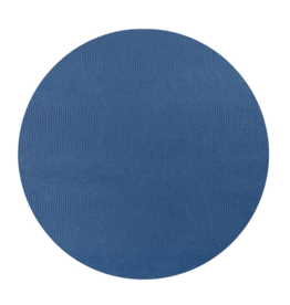 Navy Lizard Placemat