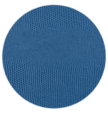 Navy Lizard Coaster Round