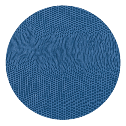 Navy Lizard Coaster Round
