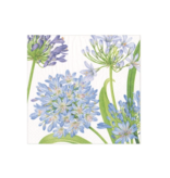 Agapanthus Garden Paper Cocktail Napkins