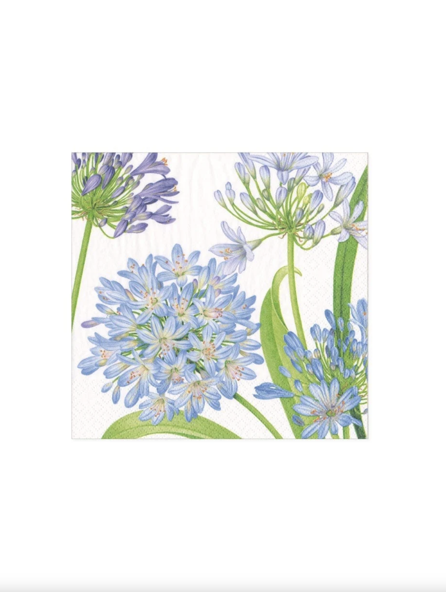 Agapanthus Garden Paper Cocktail Napkins