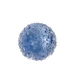 3" Sphere Iced Denim