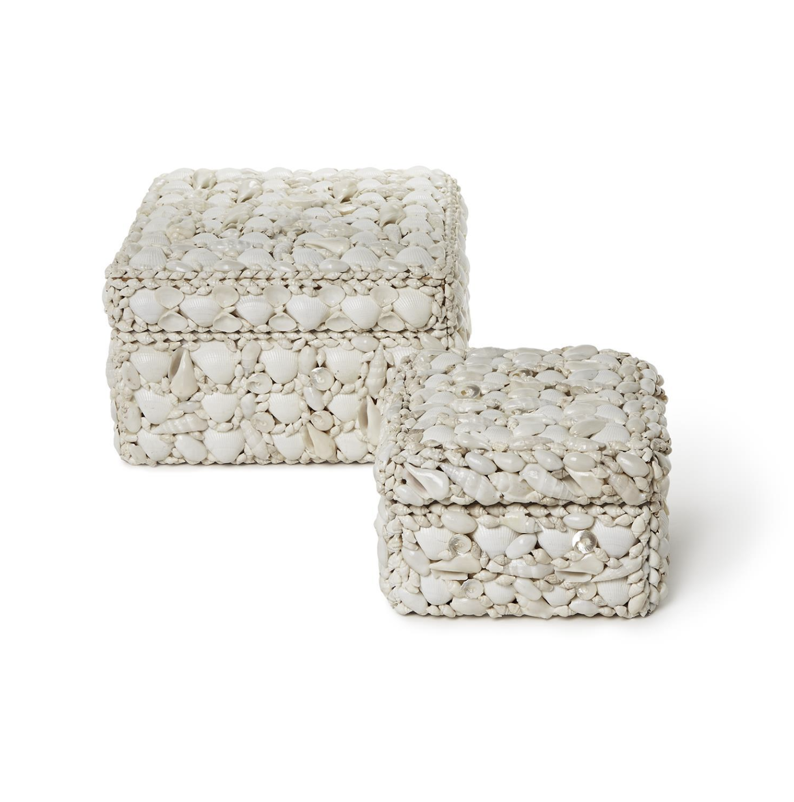 Sea Shell Rectangle Box