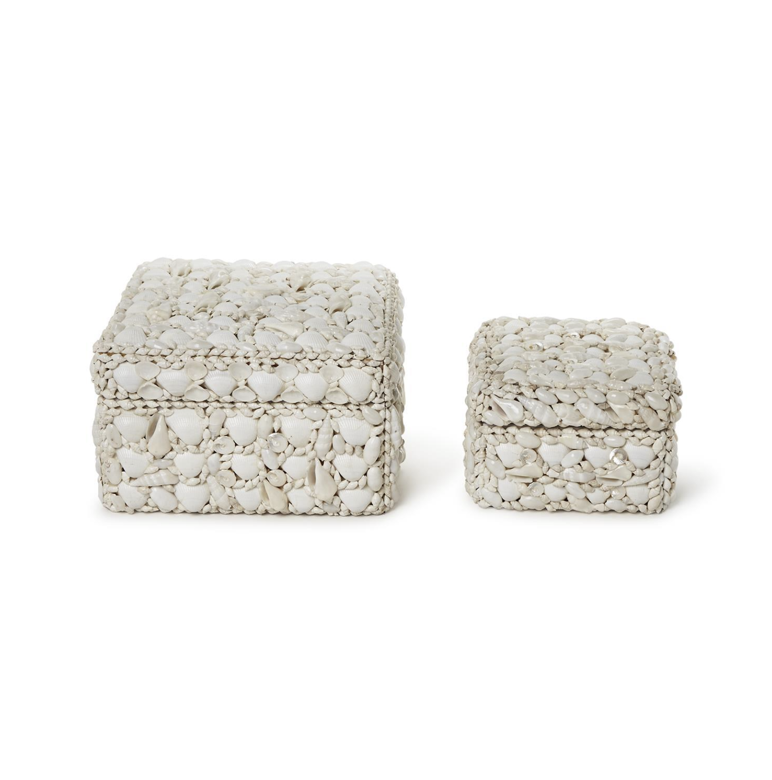 Sea Shell Rectangle Box
