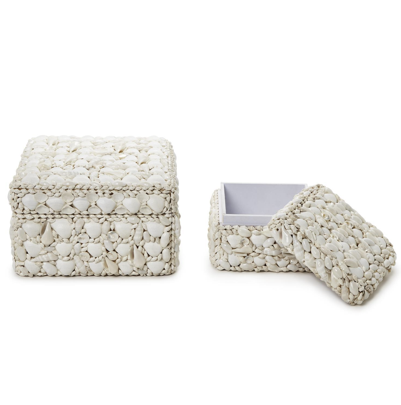 Sea Shell Rectangle Box