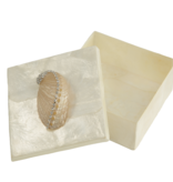 Capiz Box