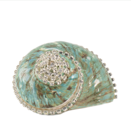 Turbo Burgess Shell Jade