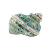 Turbo Burgess Shell Jade