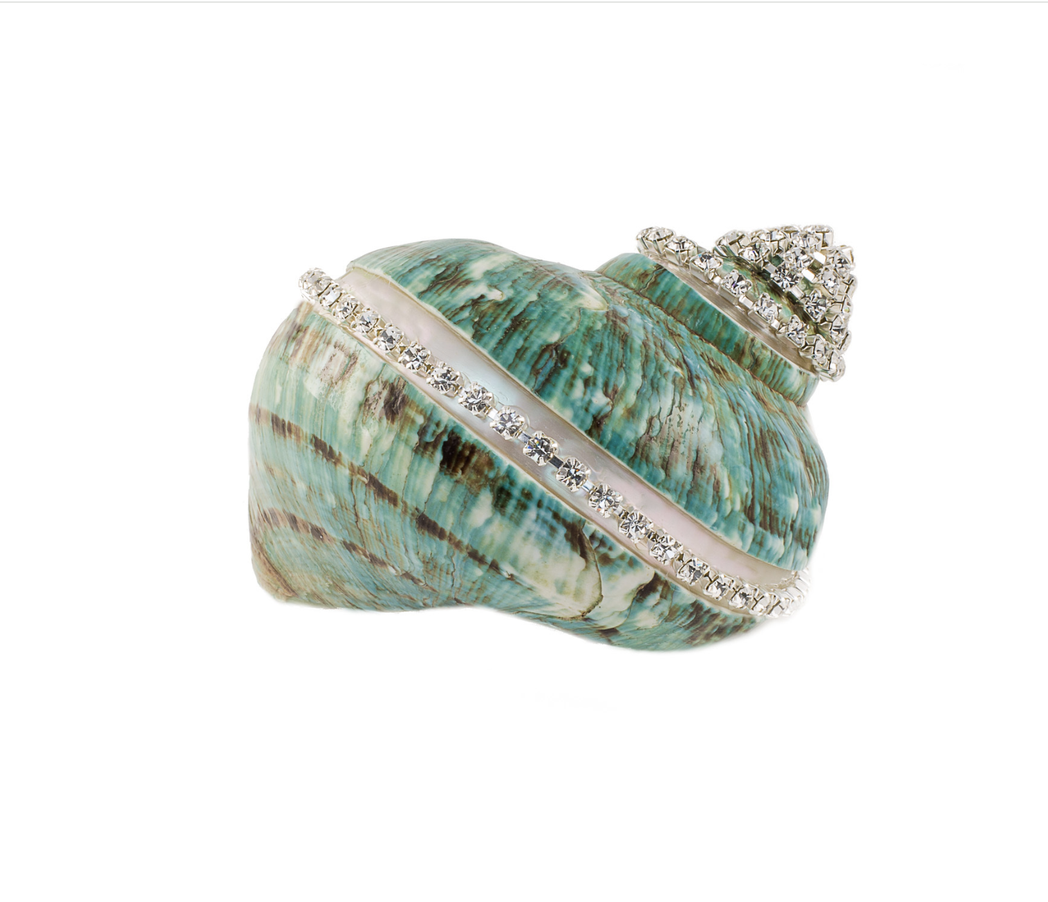 Turbo Burgess Shell Jade