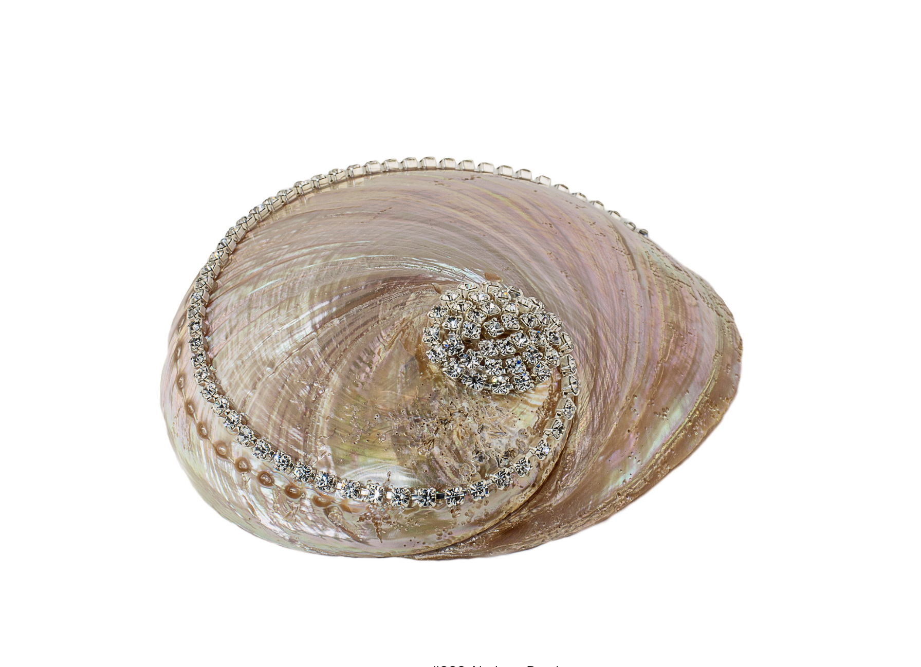 Abalone Pearl